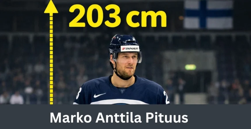 marko anttila pituus